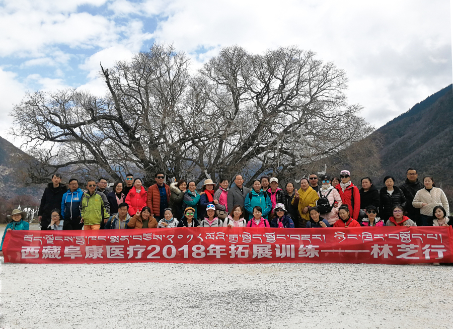 西藏阜康醫(yī)療2018年拓展訓(xùn)練——增強(qiáng)團(tuán)隊(duì)凝聚力、提升團(tuán)隊(duì)協(xié)作能力，更好地為患者服務(wù)